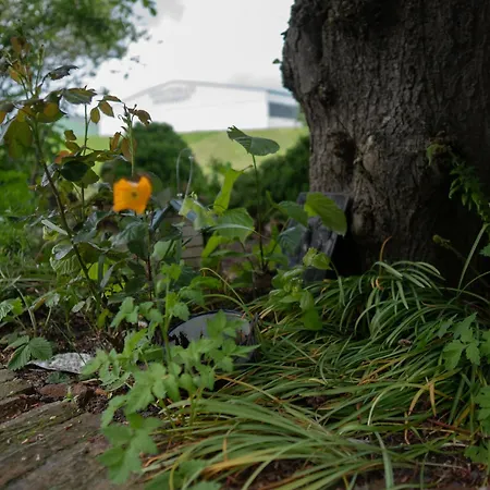 Faehrmann-s-huus-ditzum * Ditzum