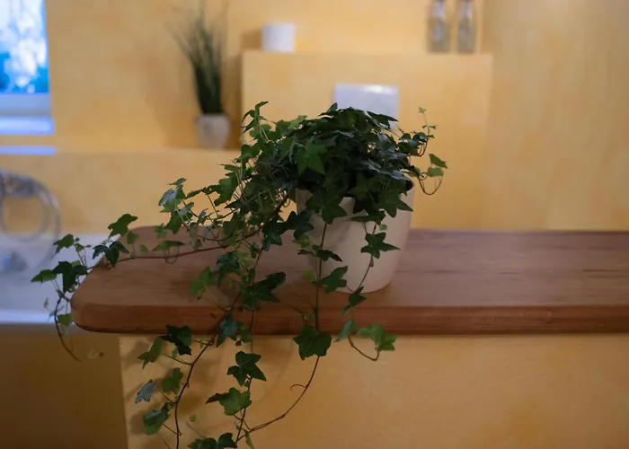 Faehrmann-s-huus-ditzum * דיצום