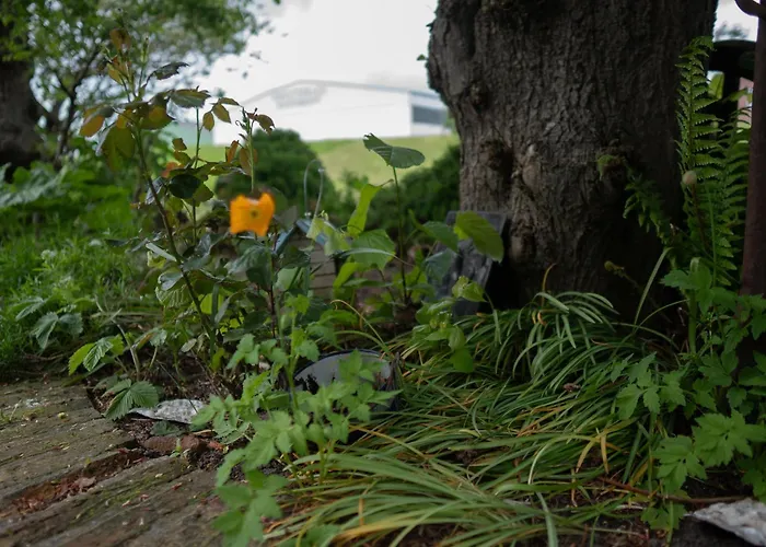 Faehrmann-s-huus-ditzum * דיצום